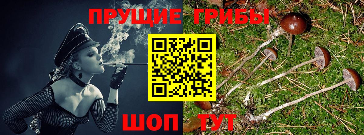 Кириши  Псилоцибиновые грибы мухоморы  Вход с VPN 