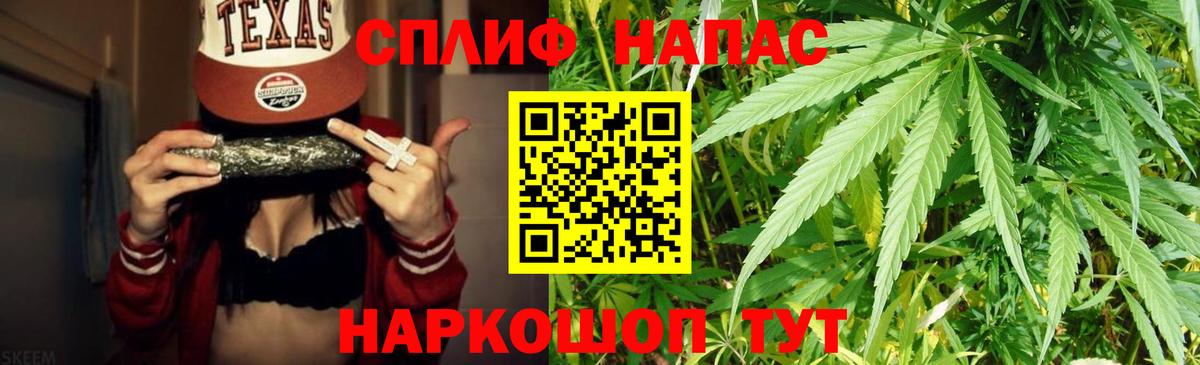 Кириши  Каннабис планчик  Вход с VPN  Бошки Шишки THC 21% 