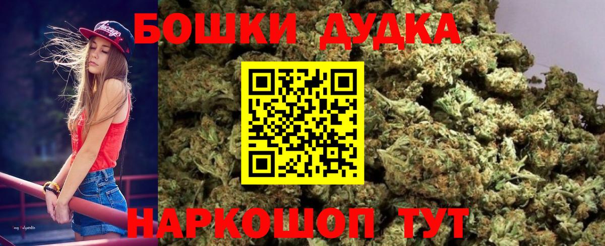 Конопля план Кириши